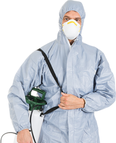Best Pest Control Services in Hyderabad 